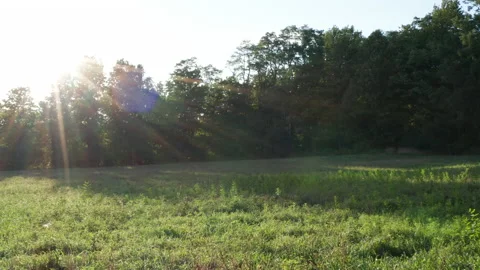 Golden Hour Sunlight Over Open Field, Upstate New York Vídeos de archivo 140398525