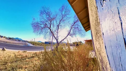 Golden Hour Sunset From the Front Yard Stock Footage 299765351