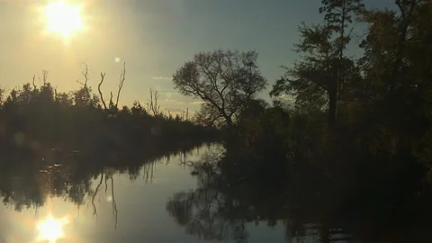 Golden hour sunset over the tranquil Okefenokee Swamp in Georgia with Stock Footage 341848371
