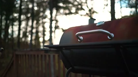 Golden hour time lapse blue sky backyard grill Stock Footage 221977235