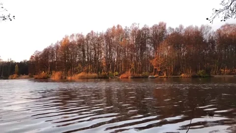Golden hour time lapse Stock Footage 323557968