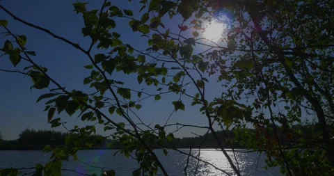 Golden hour time lapse over the pond Stock Footage 341873056