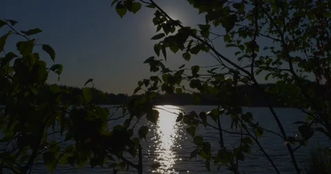 Golden hour time lapse over the pond Stock Footage 341874779