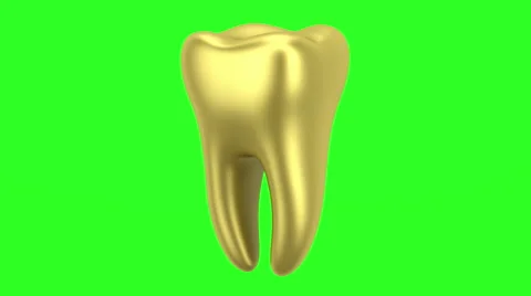 Golden human tooth loop rotate on green chromakey background Stock Footage 64765364