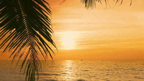 A Golden Idyllic Sunset. The Sun Sets Into The Waters of The Gentle Ocean Stock Footage 276409581