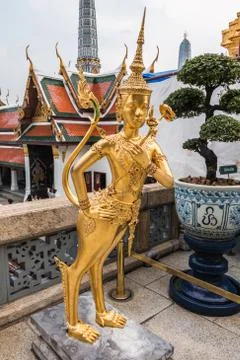 Golden kinnari statue at temple,wat phra kaew in grand palace, bangkok thaila Stock Photos