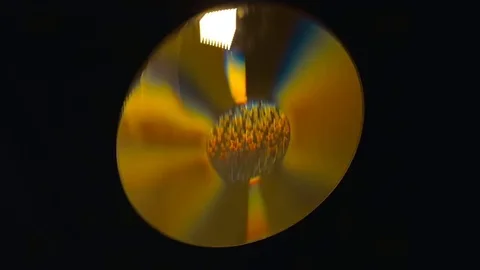 Golden laser disk (compact disc) flies, rotates and falls on a black background 스톡 동영상 82716540