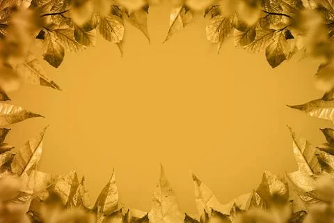 Golden leaf border frame is forming flat design with warm gradient background, 스톡 사진