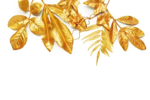 Golden leaf design elements. Stock Photos