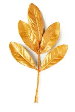 Golden leaf design elements. Foto stock
