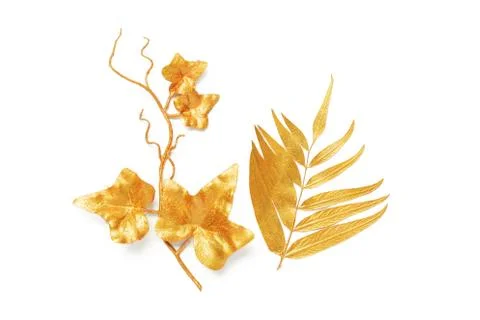 Golden leaf design elements. Stock Photos