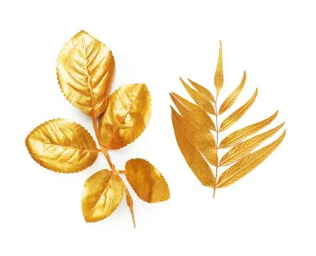 Golden leaf design elements. Stock Photos