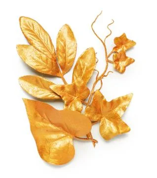 Golden leaf design elements. Stock Photos