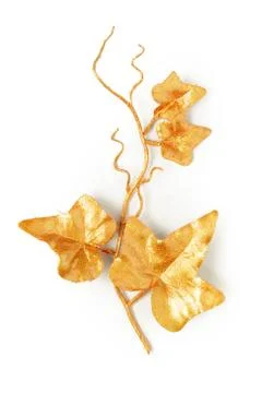 Golden leaf design elements. Stock Photos