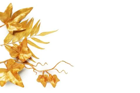 Golden leaf design elements. Stock Photos