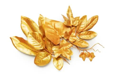 Golden leaf design elements. Stock Photos