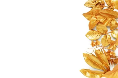 Golden leaf design elements. Stock Photos