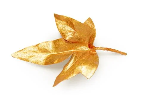 Golden leaf design elements. Foto stock