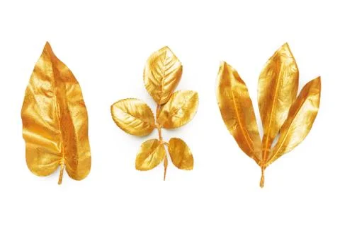 Golden leaf design elements. Foto stock
