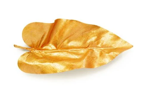 Golden leaf design elements. Foto stock