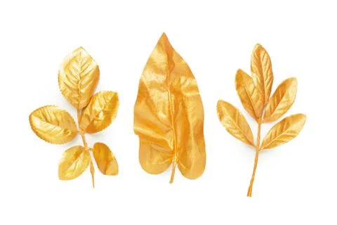 Golden leaf design elements. Stock Photos