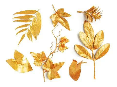 Golden leaf design elements. Stock Photos