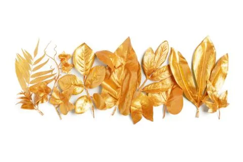 Golden leaf design elements. Stock Photos