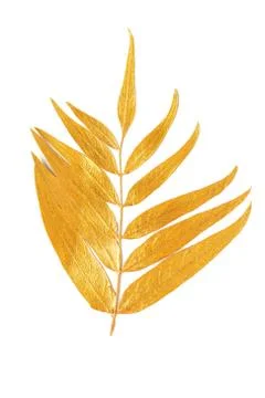 Golden leaf design elements. Foto stock