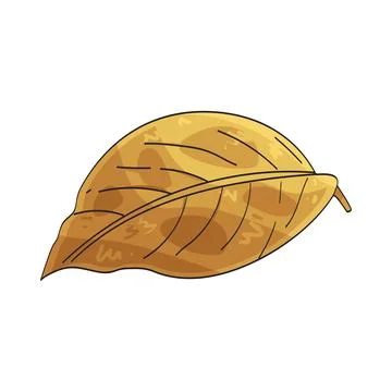 Golden leaf illustration Stock Illustration