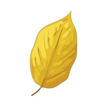 Golden leaf illustration Stock Illustration