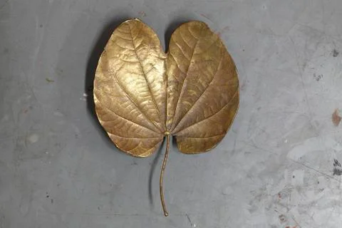 Golden leaf Stock Photos