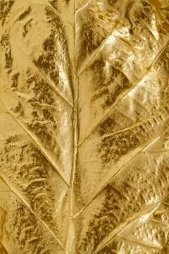 Golden leaf texture Stock Photos