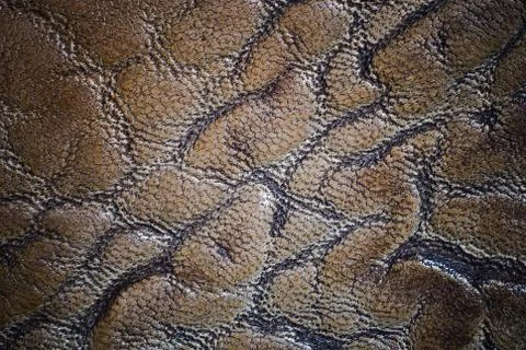 Golden leather Stock Photos