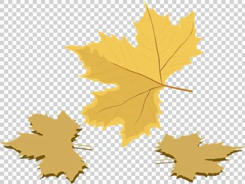 Golden leave Stock Illustration