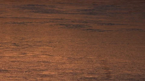 Golden light background of ice on surface of water textured surface UK 4K Stock Footage 148456174