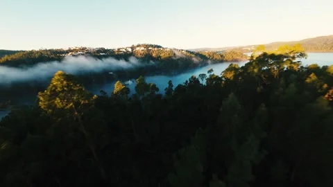 Golden light bathes misty forest canopy at Castelo de Bode Stock Footage 342268498