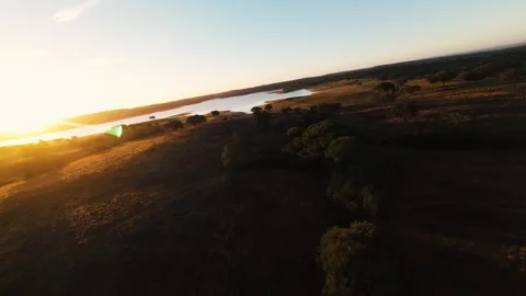 Golden light bathes open fields and distant water Stock Footage 342172599