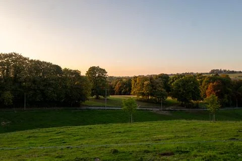 Golden light bathes open fields and trees Stock Photos