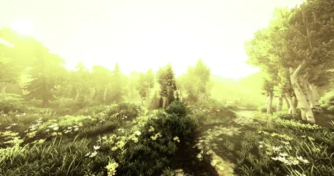 Golden light bathes a tranquil forest path in the early morning mist of spring Stock Footage 318610139