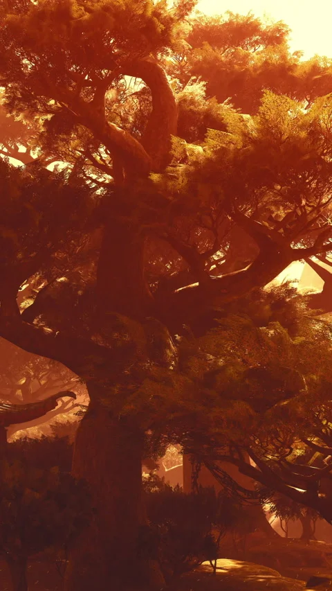 Golden light filters through trees during sunset in a quiet park scene Stock Footage 342151506