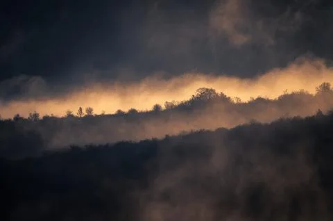 Golden Light Gap Storm Clouds Forest Silhouette Stock Photos