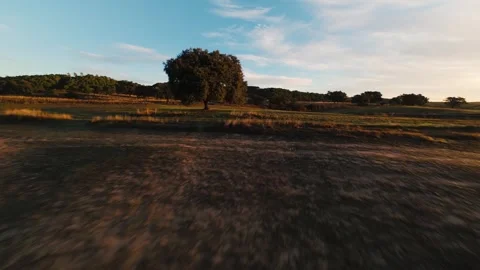 Golden light glides over mossy hills and calm waters Stock Footage 342174973