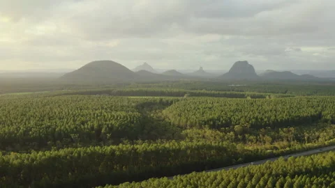 Golden Light Over Pine Plantations Facing the Glasshouse Mountains Stock Footage 310082531