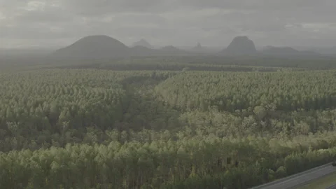 Golden Light Over Pine Plantations Facing the Glasshouse Mountains 4K HDR Stock Footage 310492849