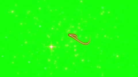 Golden light particles floating on a bright green screen background for video Stock-Footage 343909115