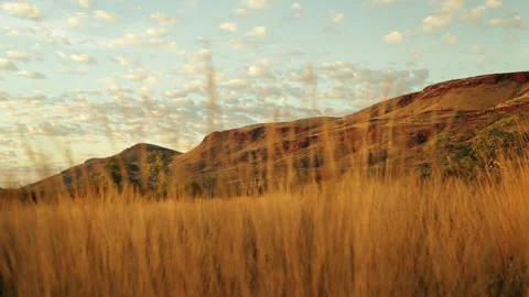 Golden light in the Pilbara HD Stock Footage 177359814