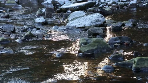 Golden Light Reflected in an Icy Stream, North Pennines, UK Stock Footage 227888916