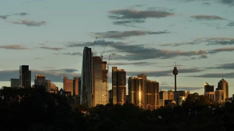 Golden light reflected on Sydney cityscape 2023 slow motion birds 4K Stock-Footage 237355343