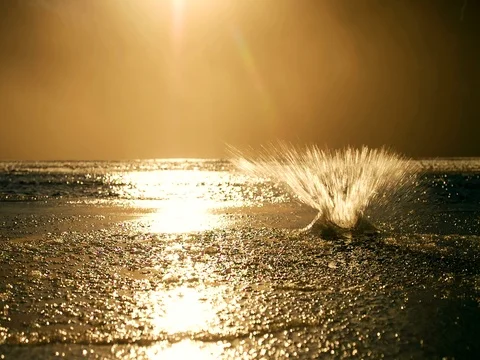 Golden Light Slowmo Splash in Slushy Cold Water after Rock Impact 2K 스톡 동영상 69846344