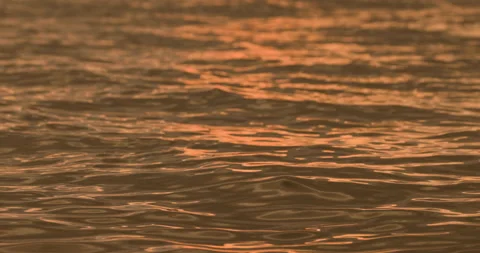 The golden light of the sun reflected on the ocean surface Vídeo Stock 143881278